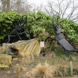 Stag Beetle sculpture 2011