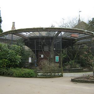 Old Bird of Prey aviary (photo 2011)