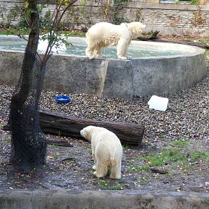 View of renovated pool