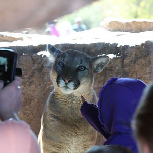 close enough to touch