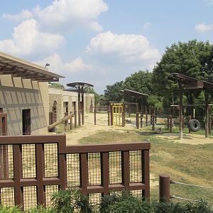 National Zoo: Elephant Trails