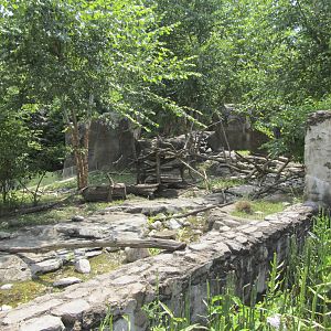 National Zoo: Asiatic Small Clawed Otter Exhibit