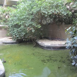 National Zoo: Gharial Exhibit