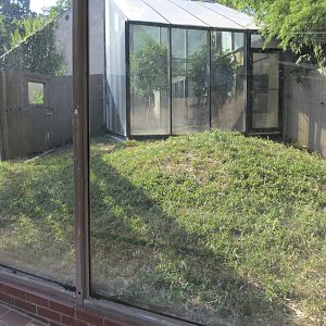 National Zoo: Komodo Dragon Outdoor Exhibit