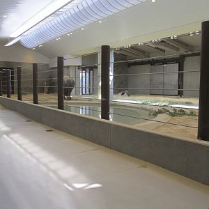 National Zoo: Elephant Community Center