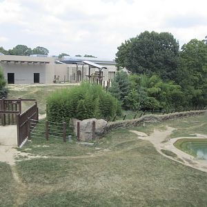National Zoo: Elephant Trails