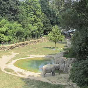 National Zoo: Elephant Trails