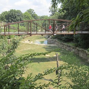 National Zoo: Elephant Trails