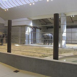 National Zoo: Elephant Community Center