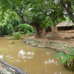Brow-antlered deer moat, July 2013.