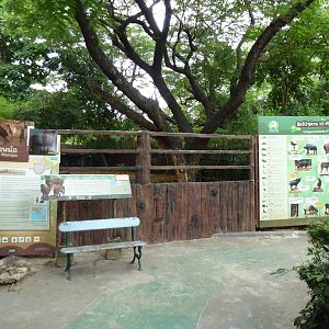 Fea's muntjac new viewing area, July 2013.