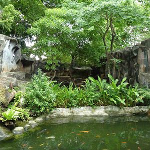 Serow enclosure, July 2013.