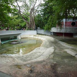 Hippo enclosure, July 2013.