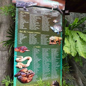 Reptile house species list, July 2013.