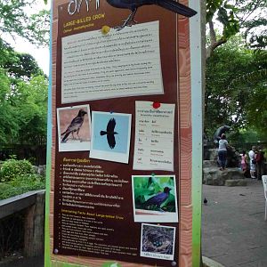 Example of signage, July 2013.