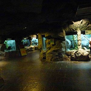 Inside the reptile house, July 2013.