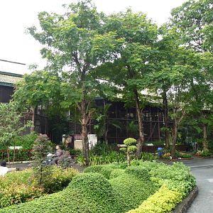 Langur enclosures, July 2013.