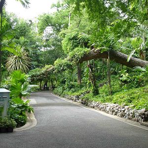 Pathway in the zoo, July 2013.