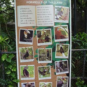 Sign - hornbills of Thailand, July 2013.