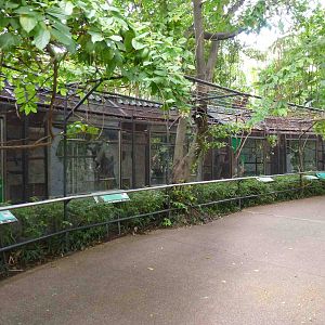 Bird aviaries, July 2013.