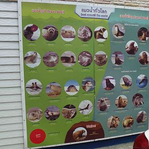 Sign - pinnipeds of the world, July 2013.