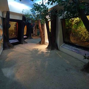 Inside the museum, July 2013.