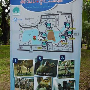 Sign - new births around the zoo, July 2013.