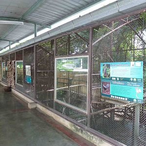 Upper gallery - waterbird aviary viewing, July 2013.