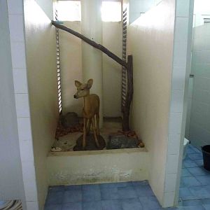 Converted toilet cubicle, July 2013.