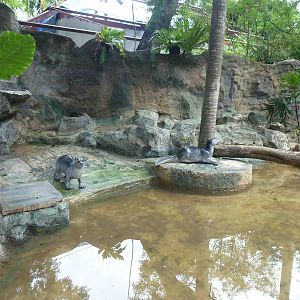 Otter enclosure, July 2013.