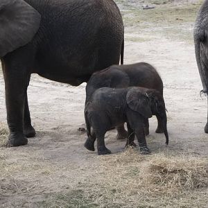 MPUMI AND MAVI ON 12-23-2013