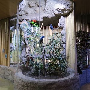 Entry Path - Palm Cockatoo and Victoria Crowned Pigeon Exhibit
