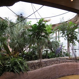 Entry Path - Shoebill Stork and Other Birds Exhibit