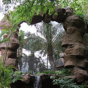 Entry Path - Shoebill Stork and Other Birds Exhibit