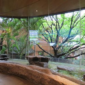 Entry Lobby - Fairy Penguin Exhibit