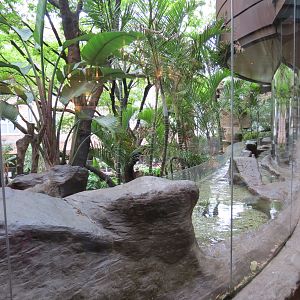 Entry Lobby - Fairy Penguin Exhibit