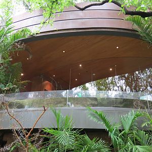 View from Outdoor Courtyard - Fairy Penguin Exhibit and Lobby