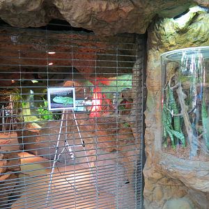 Madagascar - Entrance