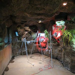 Madagascar - Interior