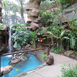 Cape of Good Hope - Black-footed Penguin Exhibit