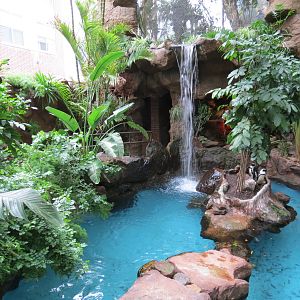 Cape of Good Hope - Black-footed Penguin Exhibit