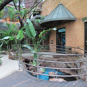 Cape of Good Hope - Black-footed Penguin Exhibit
