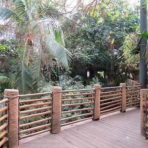 Orinoco Rainforest - Canopy Level Path
