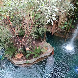 Orinoco Rainforest - Waterfall and River Exhibit