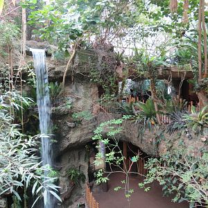 Orinoco Rainforest - Waterfall