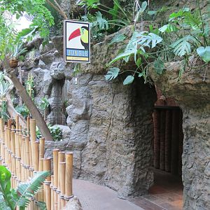 Orinoco Rainforest - Jungle Cafe Exterior