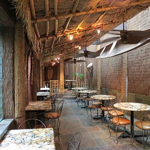 Orinoco Rainforest - Jungle Cafe Interior