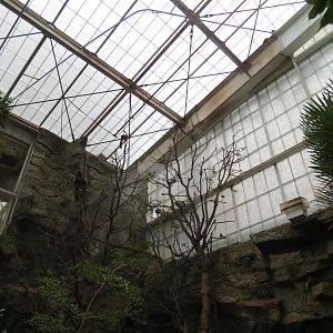 Orinoco Rainforest - Toucan Heights Exhibit