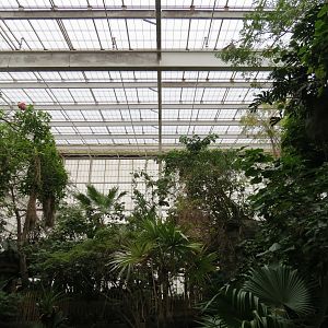 Orinoco Rainforest - Canopy Level View