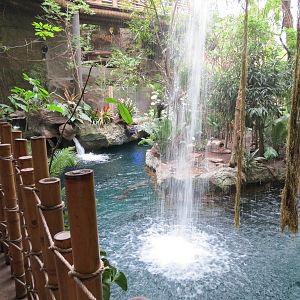 Orinoco Rainforest - Waterfall and River Exhibit